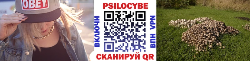 Псилоцибиновые грибы Cubensis Северская