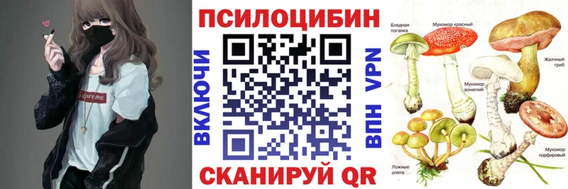 Галлюциногенные грибы Cubensis как найти закладки Северская